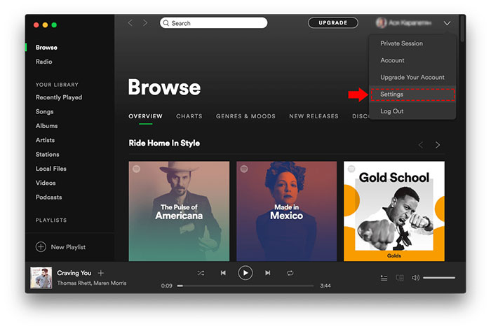 stop spotify opening on startup