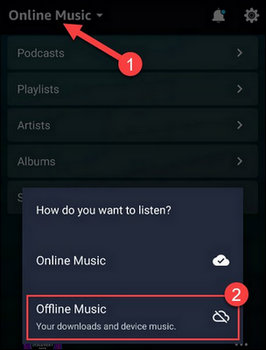 amazon music offline mode