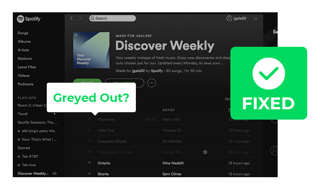 fix spotify grey out issue