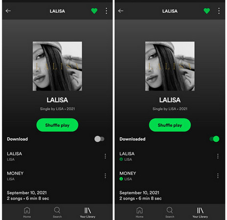 Listen to Spotify Offline with Premium on android