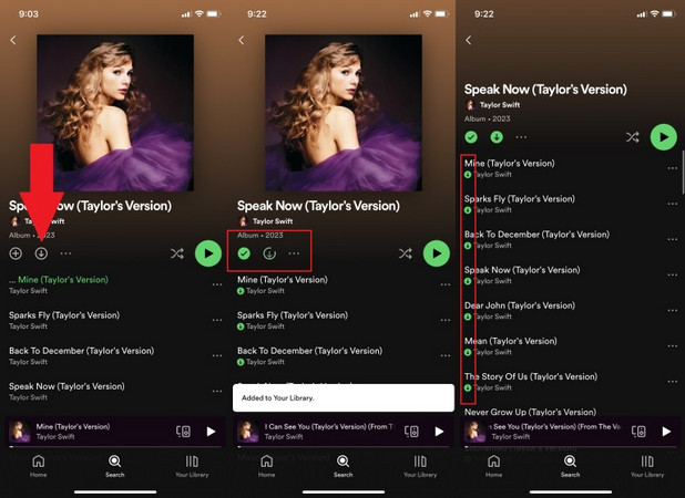 Listen to Spotify Offline with Premium on iphone