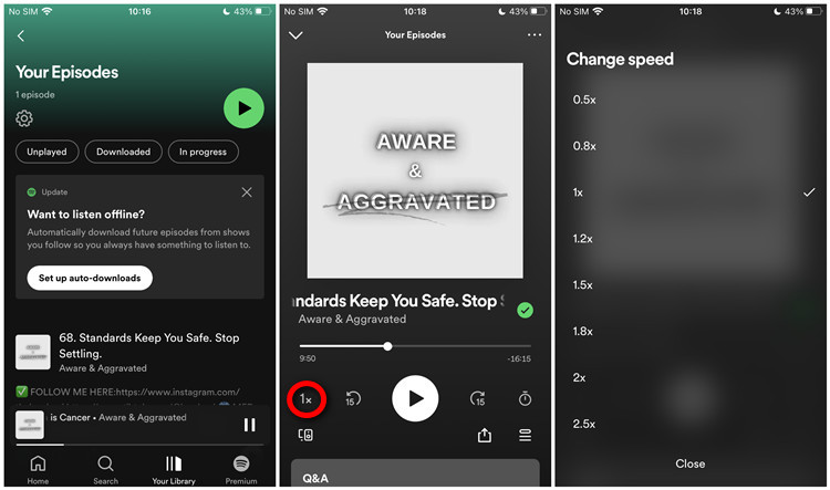 change spotify playback speed on iphone android